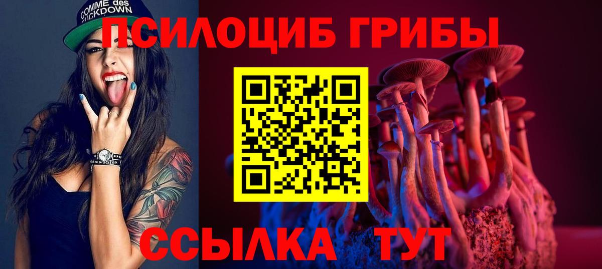 Дедовск  Псилоцибиновые грибы ЛСД  Вход с VPN 