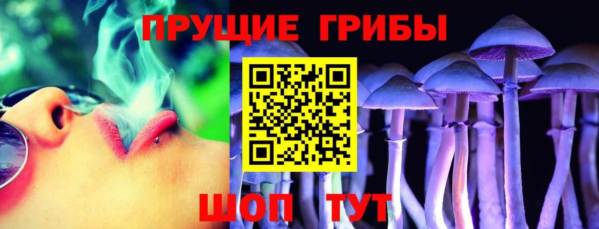 Галлюциногенные грибы прущие грибы Дедовск