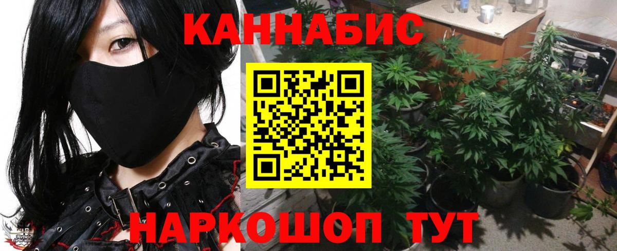 Шишки марихуана Bruce Banner Дедовск
